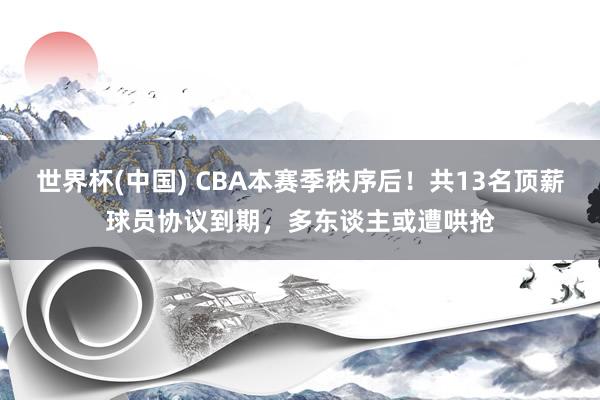 世界杯(中国) CBA本赛季秩序后!共13名顶薪球员协议到期,多东谈主或遭哄抢