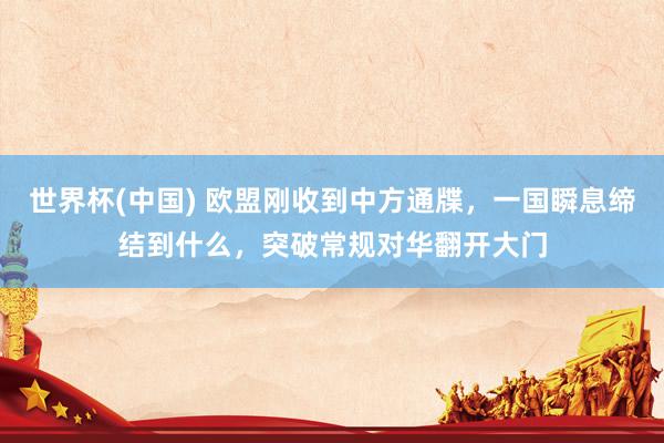 世界杯(中国) 欧盟刚收到中方通牒,一国瞬息缔结到什么,突破常规对华翻开大门