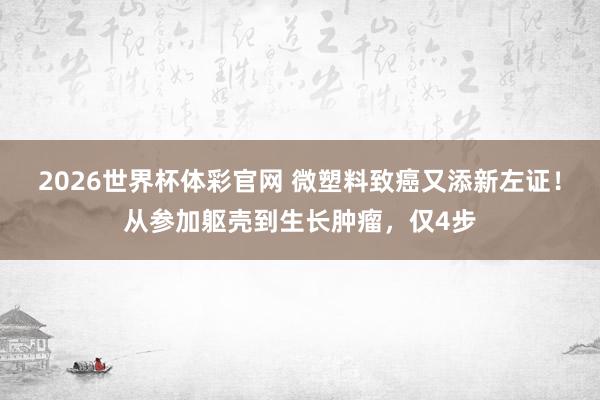2026世界杯体彩官网 微塑料致癌又添新左证!从参加躯壳到生长肿瘤,仅4步