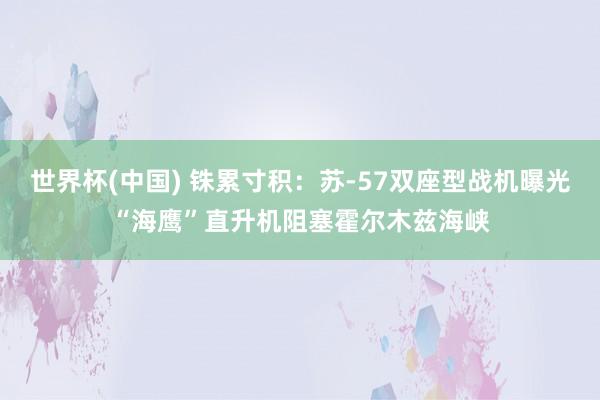 世界杯(中国) 铢累寸积:苏-57双座型战机曝光“海鹰”直升机阻塞霍尔木兹海峡