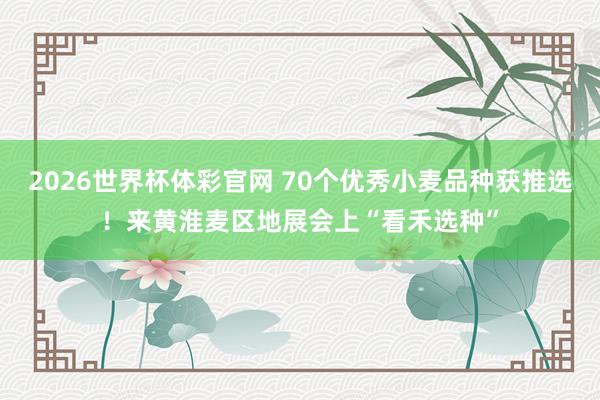 2026世界杯体彩官网 70个优秀小麦品种获推选!来黄淮麦区地展会上“看禾选种”