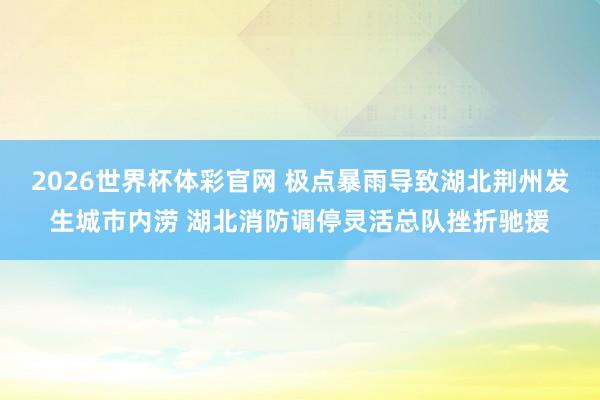 2026世界杯体彩官网 极点暴雨导致湖北荆州发生城市内涝 湖北消防调停灵活总队挫折驰援