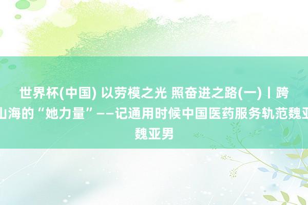 世界杯(中国) 以劳模之光 照奋进之路(一)丨跨越山海的“她力量”——记通用时候中国医药服务轨范魏亚男