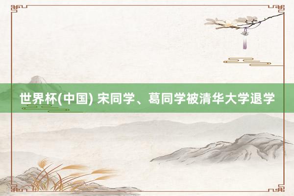 世界杯(中国) 宋同学、葛同学被清华大学退学