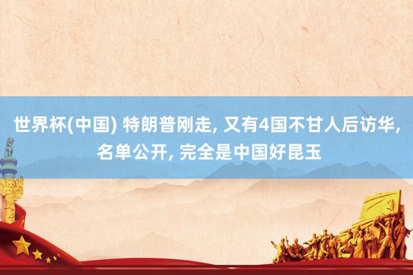 世界杯(中国) 特朗普刚走, 又有4国不甘人后访华, 名单公开, 完全是中国好昆玉
