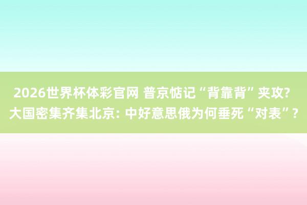 2026世界杯体彩官网 普京惦记“背靠背”夹攻? 大国密集齐集北京: 中好意思俄为何垂死“对表”?