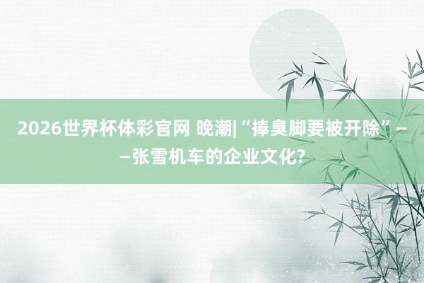 2026世界杯体彩官网 晚潮|“捧臭脚要被开除”——张雪机车的企业文化?