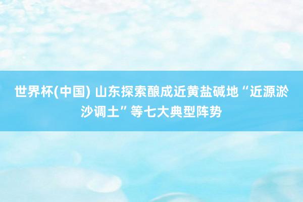 世界杯(中国) 山东探索酿成近黄盐碱地“近源淤沙调土”等七大典型阵势