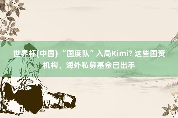 世界杯(中国) “国度队”入局Kimi? 这些国资机构、海外私募基金已出手