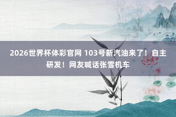 2026世界杯体彩官网 103号新汽油来了！自主研发！网友喊话张雪机车