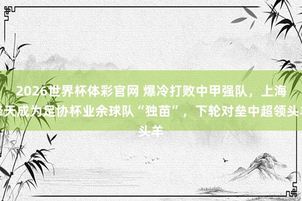 2026世界杯体彩官网 爆冷打败中甲强队，上海泽天成为足协杯业余球队“独苗”，下轮对垒中超领头羊