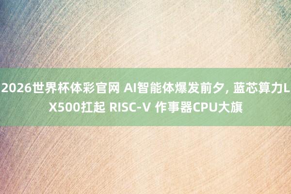 2026世界杯体彩官网 AI智能体爆发前夕， 蓝芯算力LX500扛起 RISC-V 作事器CPU大旗