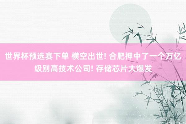 世界杯预选赛下单 横空出世! 合肥押中了一个万亿级别高技术公司! 存储芯片大爆发