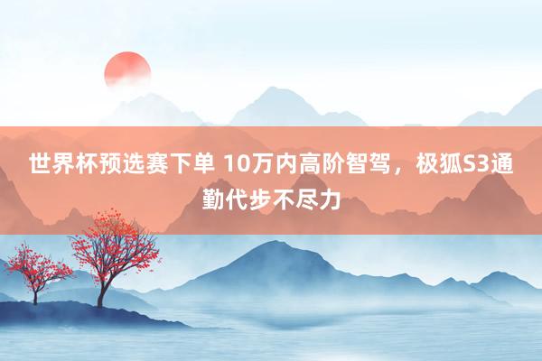 世界杯预选赛下单 10万内高阶智驾,极狐S3通勤代步不尽力