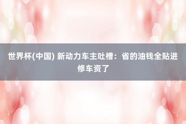 世界杯(中国) 新动力车主吐槽:省的油钱全贴进修车资了