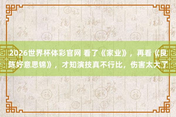 2026世界杯体彩官网 看了《家业》,再看《良陈好意思锦》,才知演技真不行比,伤害太大了