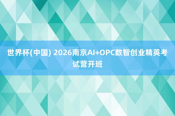 世界杯(中国) 2026南京AI+OPC数智创业精英考试营开班