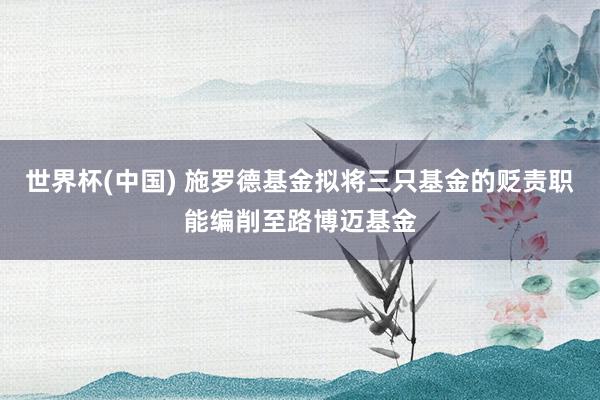 世界杯(中国) 施罗德基金拟将三只基金的贬责职能编削至路博迈基金