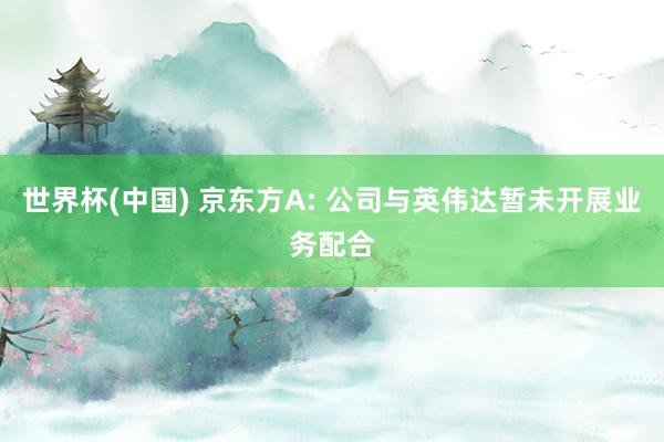 世界杯(中国) 京东方A: 公司与英伟达暂未开展业务配合