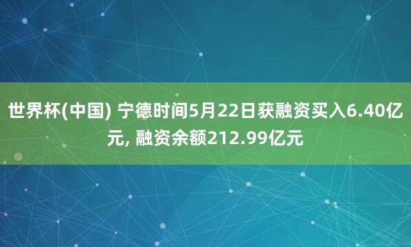 世界杯(中国) 宁德时间5月22日获融资买入6.40亿元, 融资余额212.99亿元