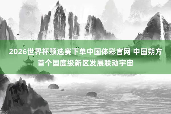 2026世界杯预选赛下单中国体彩官网 中国朔方首个国度级新区发展联动宇宙