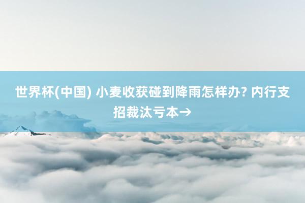 世界杯(中国) 小麦收获碰到降雨怎样办? 内行支招裁汰亏本→