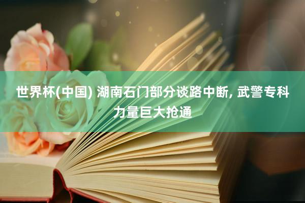 世界杯(中国) 湖南石门部分谈路中断， 武警专科力量巨大抢通