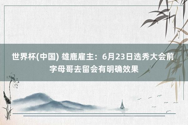 世界杯(中国) 雄鹿雇主:6月23日选秀大会前 字母哥去留会有明确效果