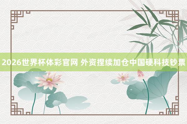2026世界杯体彩官网 外资捏续加仓中国硬科技钞票