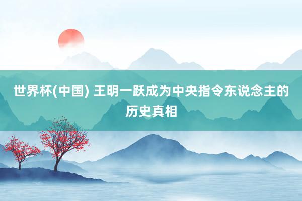 世界杯(中国) 王明一跃成为中央指令东说念主的历史真相