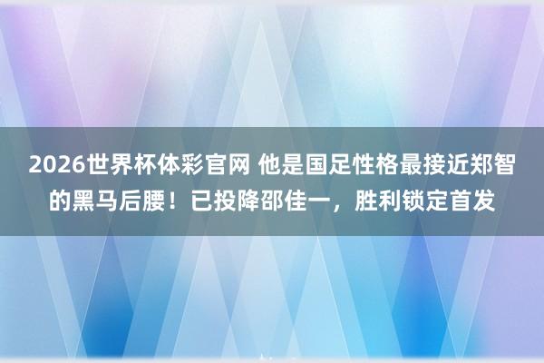 2026世界杯体彩官网 他是国足性格最接近郑智的黑马后腰!已投降邵佳一,胜利锁定首发