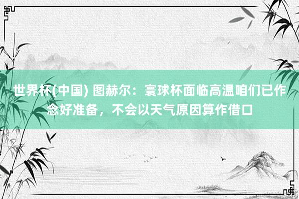 世界杯(中国) 图赫尔：寰球杯面临高温咱们已作念好准备，不会以天气原因算作借口