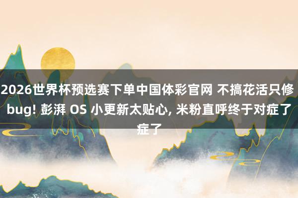 2026世界杯预选赛下单中国体彩官网 不搞花活只修 bug! 彭湃 OS 小更新太贴心, 米粉直呼终于对症了
