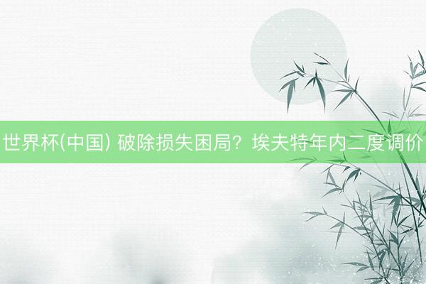 世界杯(中国) 破除损失困局?埃夫特年内二度调价