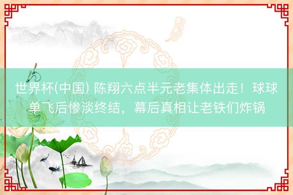 世界杯(中国) 陈翔六点半元老集体出走!球球单飞后惨淡终结,幕后真相让老铁们炸锅