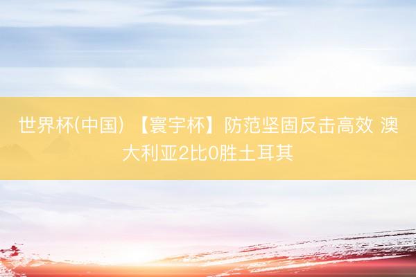世界杯(中国) 【寰宇杯】防范坚固反击高效 澳大利亚2比0胜土耳其