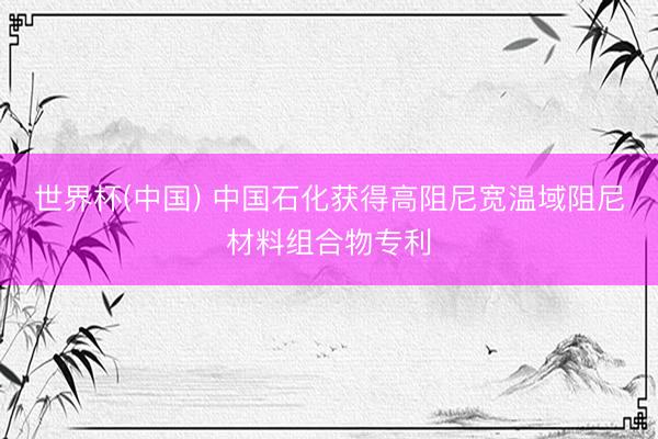 世界杯(中国) 中国石化获得高阻尼宽温域阻尼材料组合物专利