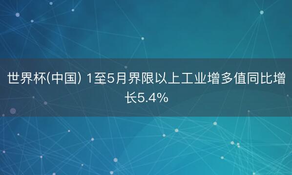 世界杯(中国) 1至5月界限以上工业增多值同比增长5.4%