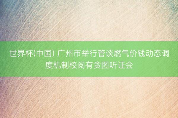 世界杯(中国) 广州市举行管谈燃气价钱动态调度机制校阅有贪图听证会