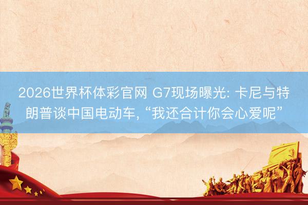 2026世界杯体彩官网 G7现场曝光: 卡尼与特朗普谈中国电动车, “我还合计你会心爱呢”
