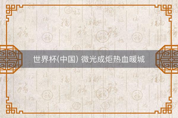 世界杯(中国) 微光成炬热血暖城