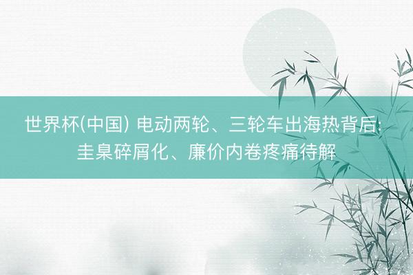 世界杯(中国) 电动两轮、三轮车出海热背后: 圭臬碎屑化、廉价内卷疼痛待解