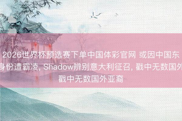 2026世界杯预选赛下单中国体彩官网 或因中国东谈主身份遭霸凌, Shadow辨别意大利征召, 戳中无数国外亚裔